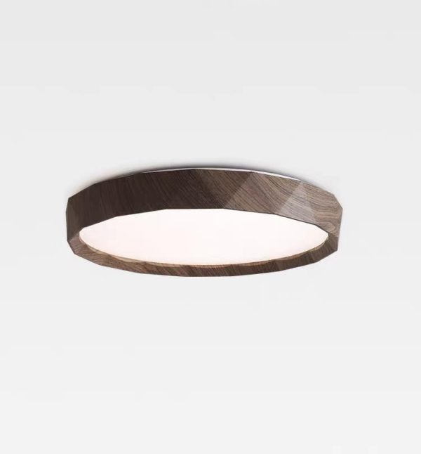 Ceiling light