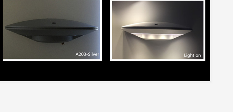 Led Outdoor Light