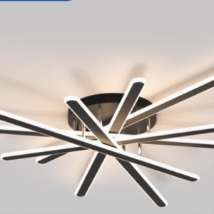 Led Ceiling Light